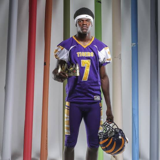 lamar jackson jersey purple and gold