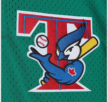 Roy Halladay Toronto Blue Jays Official MLB Mitchell & Ness Jersey green