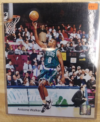 Antoine Walker Boston Celtics Autographed 8x10 photo with COA