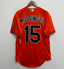 Any Name & Number Customized Baltimore Orioles Official MLB jersey Majestic