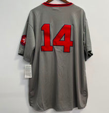 Jim Rice 1975 Boston Red Sox Jersey Mitchell & Ness