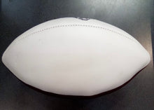 Las Vegas Raiders Full Size logo Autograph Signature Football
