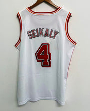 Rony Seikaly Miami Heat Official NBA Mitchell & Ness Jersey