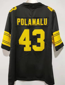 Troy Polamalu  Pittsburgh Steelers Classic Authentics Jersey