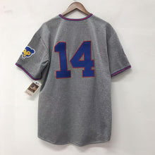 Ernie Banks Chicago Cubs Jersey 1968 Cooperstown Collection Mitchell & Ness