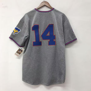 Ernie Banks Chicago Cubs Jersey 1968 Cooperstown Collection Mitchell & Ness