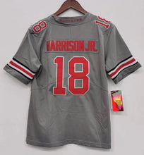 Any Name & Number customized Ohio State Buckeyes Official NCAA YOUTH KIDS Nike Jersey gray