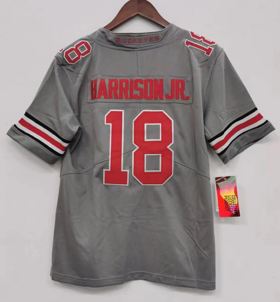 Any Name & Number customized Ohio State Buckeyes Official NCAA YOUTH KIDS Nike Jersey gray