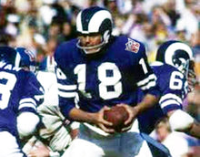 Roman Gabriel 1969 Los Angeles Rams NFL Mitchell & Ness Jersey blue