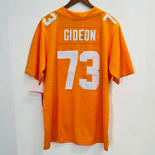 Any Name and Number Tennessee Volunteers Customized Jersey NIKE