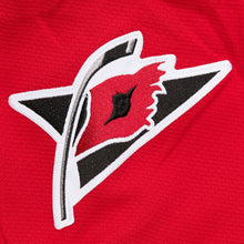 Rod Brind’Amour 2006 Carolina Hurricanes Official NHL Jersey