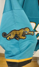 Fred Taylor Jacksonville Jaguars official NFL Mitchell & Ness Jersey