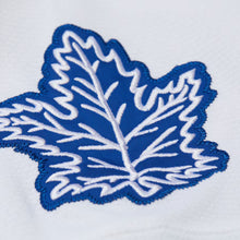 Felix Potvin Toronto Maple Leafs Customized Official NHL Mitchell & Ness Jersey