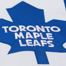 Felix Potvin Toronto Maple Leafs Customized Official NHL Mitchell & Ness Jersey