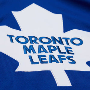Curtis Joseph Toronto Maple Leafs Customized Official NHL Mitchell & Ness Jersey