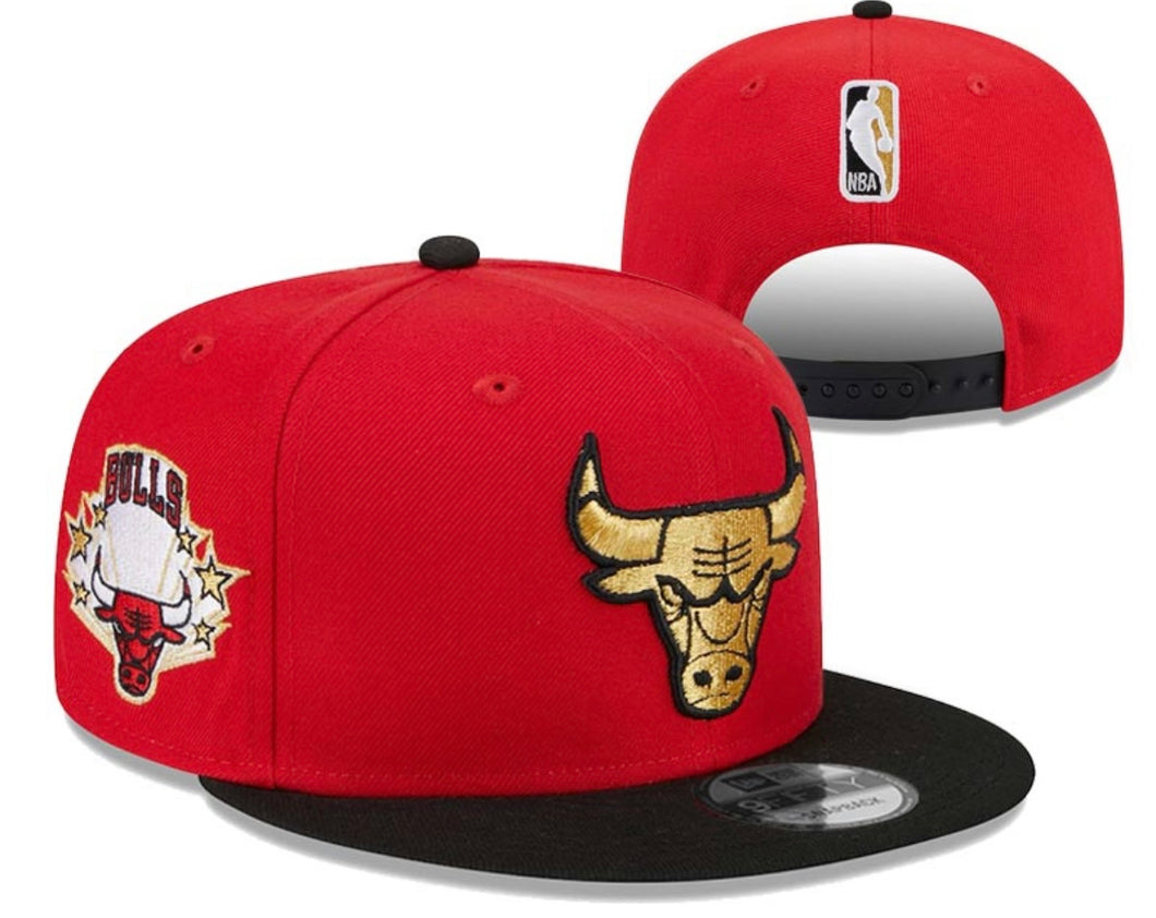 Chicago Bulls New Era Hat adjustable