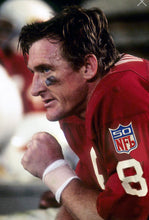 Larry Wilson 1969 St. Louis Cardinals NFL Mitchell & Ness Jersey