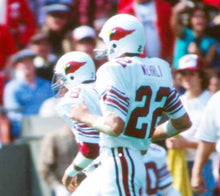 Roger Wehrli St. Louis Cardinals NFL Mitchell & Ness Jersey white