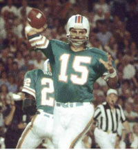 Earl Morrall Miami Dolphins NFL Mitchell & Ness Jersey