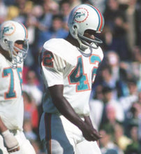 Paul Warfield Miami Dolphins NFL Mitchell & Ness Jersey