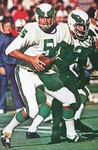 Roman Gabriel Philadelphia Eagles NFL Mitchell  & Ness Jersey