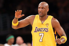 Lamar Odom Los Angeles Lakers Official NBA Mitchell & Ness Jersey
