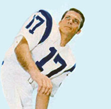 Richie Petitbon 1969 Los Angeles Rams NFL Mitchell & Ness Jersey