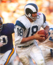 Roman Gabriel 1969 Los Angeles Rams NFL Mitchell & Ness Jersey