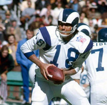 Roman Gabriel 1969 Los Angeles Rams NFL Mitchell & Ness Jersey
