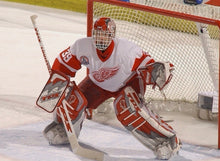 Dominik Hasek 2002 Detroit Red Wings Official NHL CCM Jersey