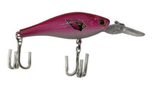 Arizona Cardinals Official NFL fishing lure
