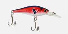 Houston Texans Official NFL fishing lure
