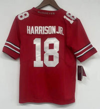 Any Name & Number customized Ohio State Buckeyes YOUTH KIDS Nike Jersey