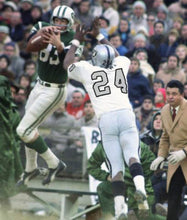 Willie Brown 1970 Oakland Raiders Mitchell & Ness Jersey