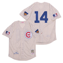 Ernie Banks Chicago Cubs Jersey 1969 Cooperstown Collection Mitchell & Ness