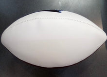 Carolina Panthers Full Size logo Autograph Signature Football