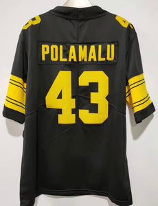 Troy Polamalu Pittsburgh Steelers military salute to service